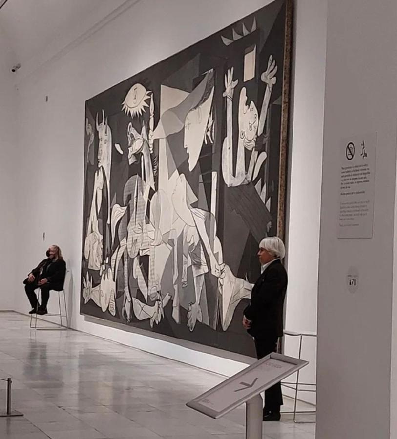 Reina Sofia Museum House * Madri